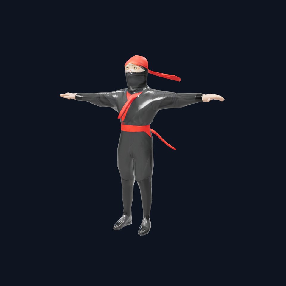 Ninja Character Model Pack with Black Outfit